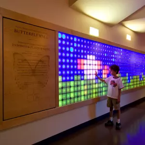 Интерактивная стена для детей